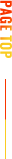 pagetop